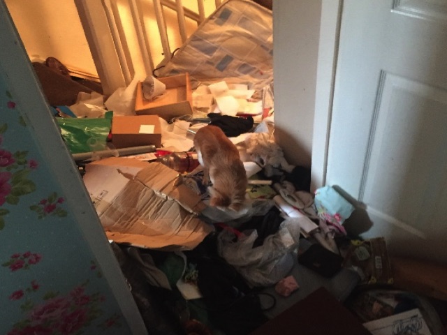 ots-dog-rubbish