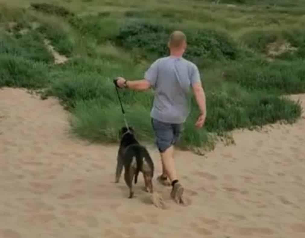 Puppies left for dead in horrific dunes dog attack Puppies left for dead in horrific dunes dog attack