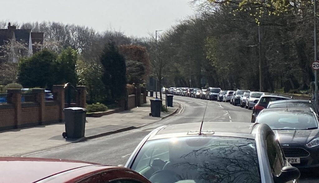 Scorching weather sees Botanic Gardens swamped with ‘joyful’ visitors