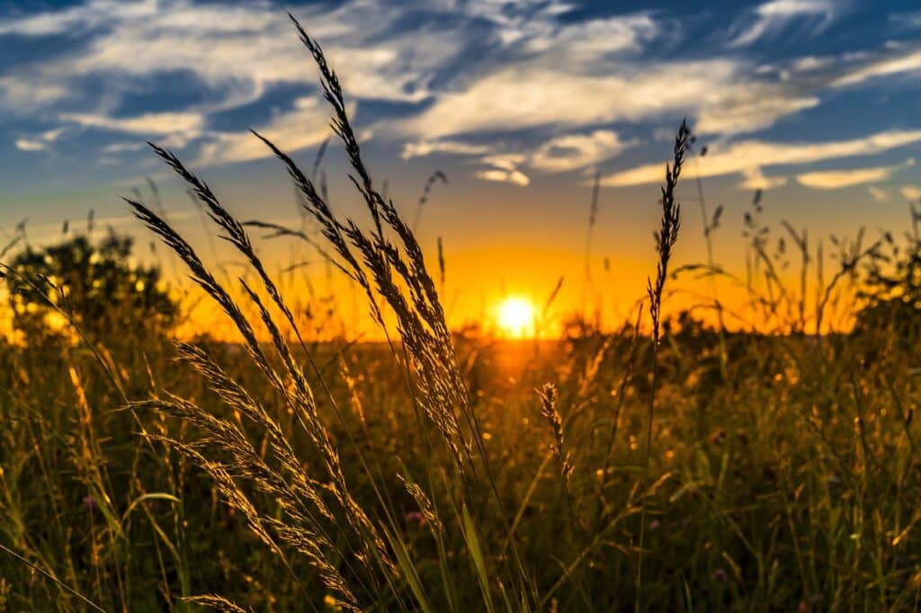 Agro-industrial enterprises and agricultural banks worldwide