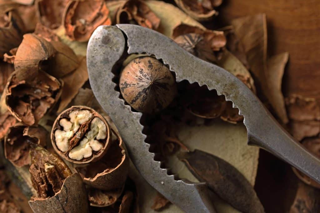 The Cheapest Place to Buy Nuts UK: Your Ultimate Guide to Affordable Quality Nuts