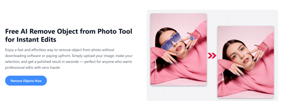 Best AI Object Remover Tools to Remove Unwanted Objects from Photos ...