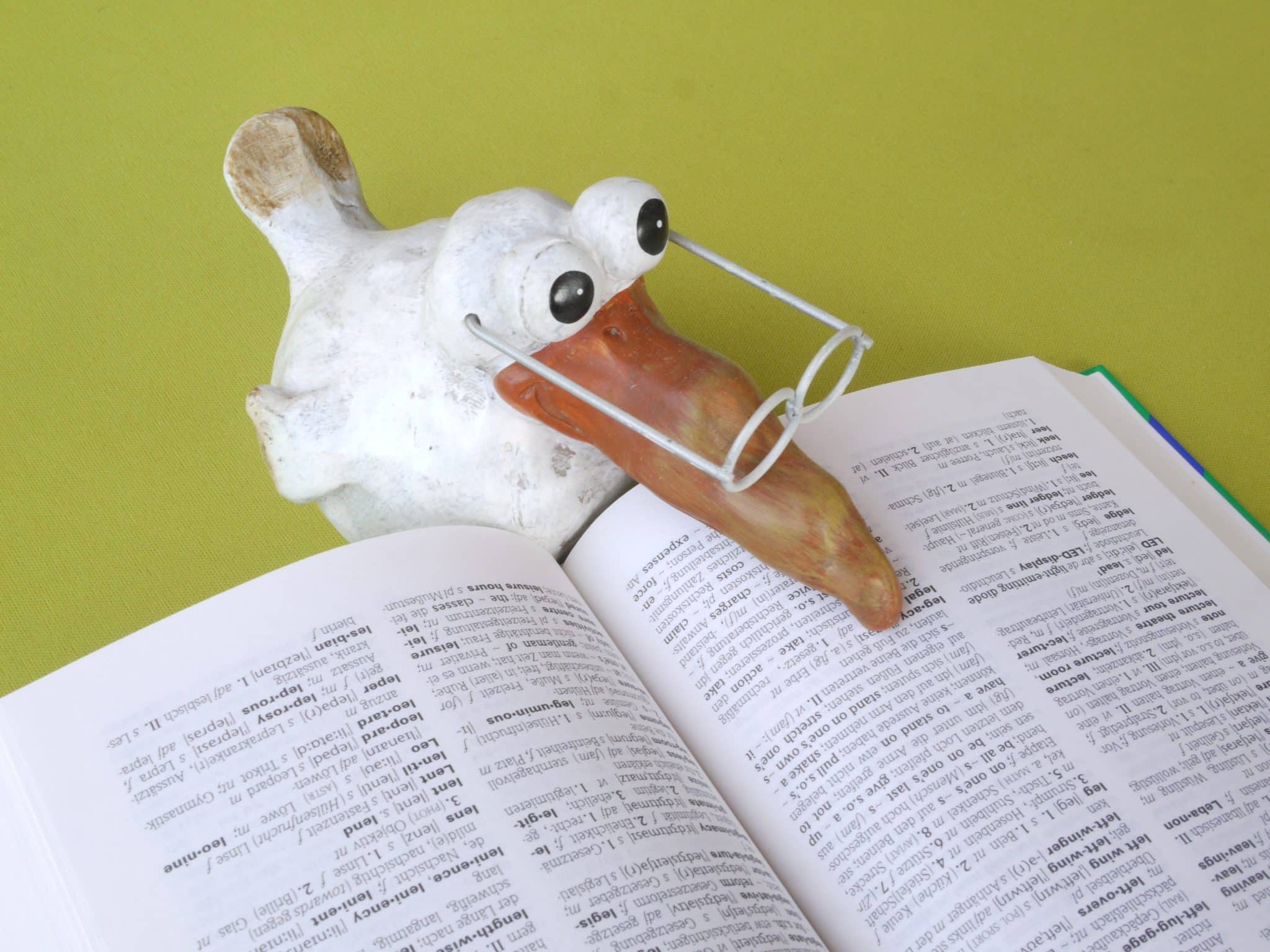 Whimsical white duck sculpture with oversized eyes resting on an open book against a lime background.
