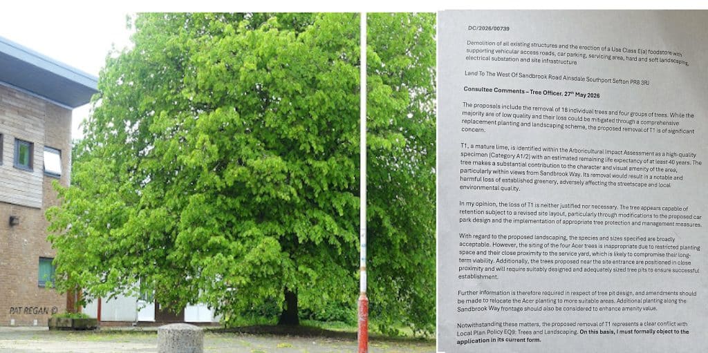 Two-panel image: a lush green tree beside a brick building on the left, and dense text on a gray page on the right.