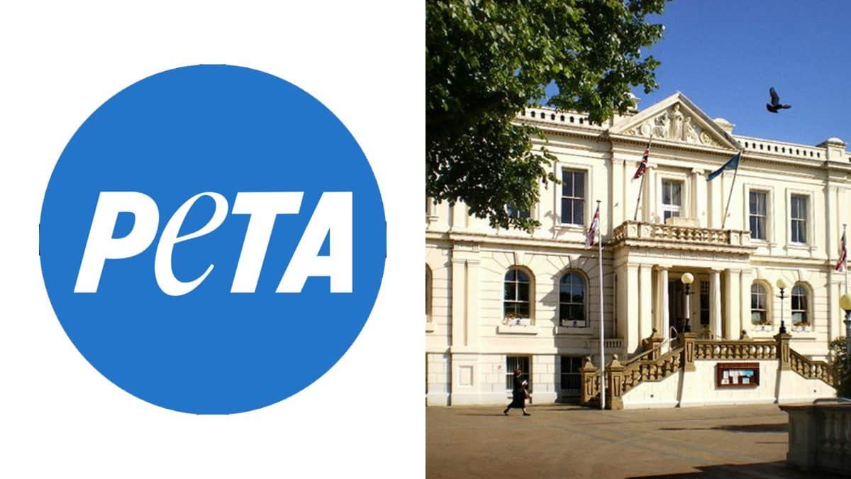 PETA logo in a blue circle on the left; a neoclassical town hall with flags on the right.
