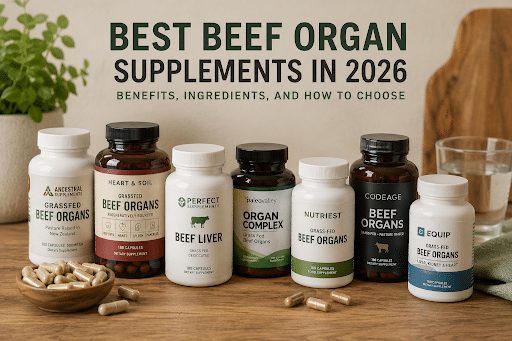 7 Best Beef Organ Supplements in 2026: Benefits, Ingredients, and How to Choose